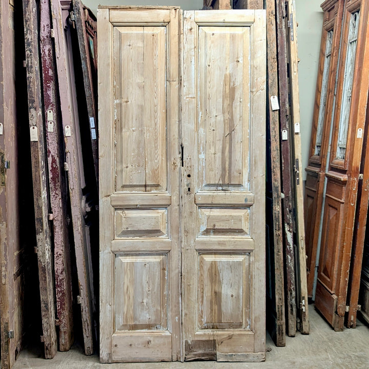 Pair Doors (44