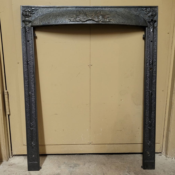 Antique Fireplace Insert (24-½ x 30-½