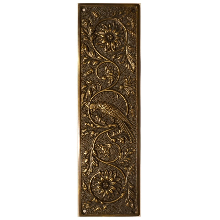 Push Plate - Parrot (11-¼