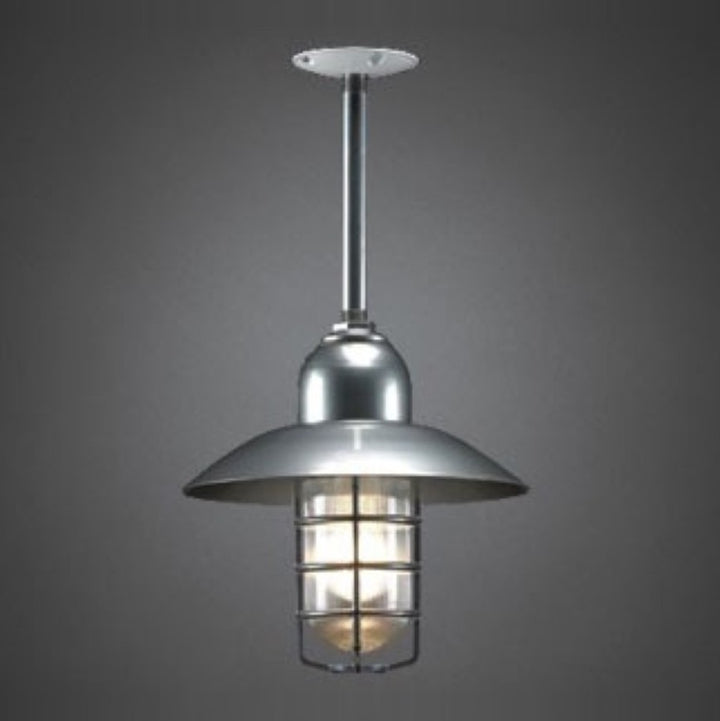 Maxximus Pendant Light (TMS)